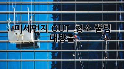 💨 미세먼지 OUT! 🏠 청소 꿀팁 대방출 ✨